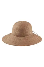 Helen Kaminski Delphina Wide Brim Hat