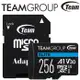 Team 十銓 ELITE 256GB microSDXC UHS-I U3 A1 V30 4K專用高速記憶卡