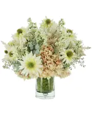 Creative Displays Pink Hydrangea & Daisy Arrangement in Glass Vase NoSize Peach