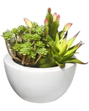 National Tree Company Artificial Plant NoSize Green