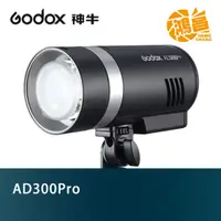 在飛比找蝦皮商城優惠-Godox 神牛 AD300Pro 專業 300WS 外拍 