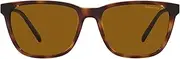 [ARNETTE] CORTEX AN 4291 Dark Havana/Brown 57/18/140 men Sunglasses