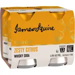 James Squire Whisky Soda Zesty Citrus Can 330mL