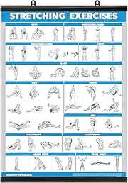Palace Learning QUICKFIT Stretching Workout Exercise Poster - Stretch Routine (Laminated with Plastic Frame, 18" x 27")