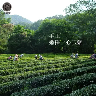 【峨眉茶行】台灣嚴選 東方美人茶(50g/罐)