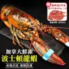 海肉管家-活凍波士頓龍蝦2隻(約400~500g/隻)【第2件送特大牛排】