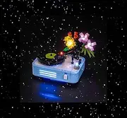 Brick Shine Light Kit for Record Player with Flowers 31172(Model Set is not Included) (Classic)
