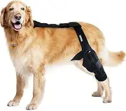 TOPIND Dog Knee Brace, Dog Knee Brace For Support With Cruciate Ligament Injury, Leg Wounds Care and Prevent Licking, Dog Rear Leg Luxating Patella Brace (Upgrade Style - M)