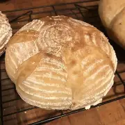 Dehydrated Sourdough Starter Organic Italian Sour Bread Active - 15 Gram Bag