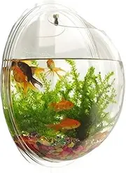 Wall Fish Tank Clear Acrylic Hydroponic Decorative Wall Fish Bowl Impact-Resistant Bubble Tank Space-Saving Terrariums Gift, 6x6x3in Bowl Hanging Mounted