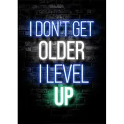 [Namly Design] Poster - I DON'T GET OLDER I LEVEL UP