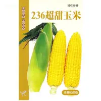 在飛比找Yahoo!奇摩拍賣優惠-種子王國 236超甜玉米(矮性品種) 【蔬果種子】興農牌 每