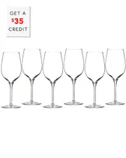 Waterford Elegance Set of 6 Wine Tasting Glasses with $35 Credit