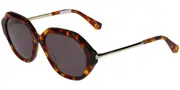 Ted Baker TB1731 188 Women’s Sunglasses Tortoiseshell Size 54