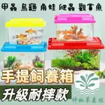 ﹝神秘草森林﹞【手提寵物盒】飼養盒 寵物箱 魚缸 飼育箱 寵物盒 水族箱 昆蟲箱 觀察盒 甲蟲 烏龜 鬥魚 孔雀魚 爬蟲