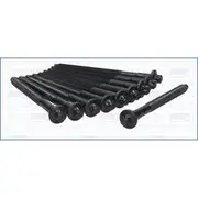 Austral Cylinder Head Bolt Set - 81008000
