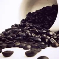 在飛比找松果購物優惠-【Gustare caffe】精選薇薇特南果咖啡豆(半磅) 