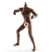 1/6 Male Muscular Body Black Seamless Nude For 12" Action Figure Doll Phicen Toy