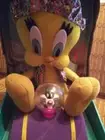 NEW-TWEETY BIRD & SYLVESTER FORTUNE TELLER-LOONEY TUNES-1999 IN BOX TESTED