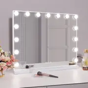 Mounted Hollywood Makeup Mirror 15 LED Lighted Vanity Wall Mount