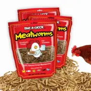 Dried Mealworm 2.55kg Treats for Chickens and other Poultry | Dine a Chook
