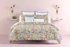 Kate Spade Frame 2 Euro Pillow Shams White Cloud with Blue Trim MSRP $120.