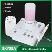 Dental Portable Ultrasonic Piezo Scaler 2*Bottles water supply for EMS Cavitron