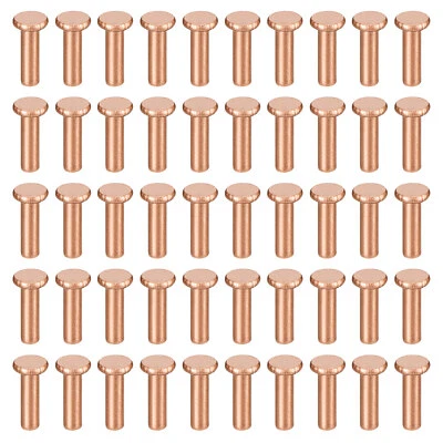 200Pcs 2.5mm Dia x 8mm L Shank Flat Head Copper Solid Rivet Fastener Copper Tone
