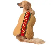 SPet supplies carnival warm keeping carnival dog Christmas hot dog hamburger pet party costume- s