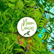 Organic Natural Fresh Dried Neem Leaves (Azadirachta Indica) 100% Organic
