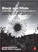 Black and White in Photoshop CS4 and Photoshop Lightroom: A Complete Integrated Workflow Solution For Creating Stunning Monochromatic Images in Photoshop CS4, Photoshop Lightroom, and Beyond