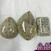 在飛比找蝦皮商城優惠-珊瑚玉 天然珊瑚化石 F組 尊貴權勢幸福與永恆 事業的瑞寶《