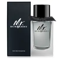 在飛比找PChome24h購物優惠-BURBERRY Mr. BURBERRY男性淡香水100m