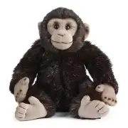 Living Nature - Chimp