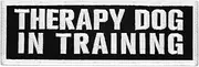 TailWag Planet Therapy Dog in Training Patch Embroidered Vest/Harnesses Badge Fastener Hook & Loop Emblem, 6 x 2 Inches