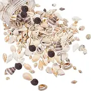 PH PandaHall 175g Mixed Ocean Beach Spiral Seashells, 10 Styles Natural Craft Seashell Charms Small Conch Shell with Hole for Home Party Wedding Decor Candle Making Fish Tank Vase Filler