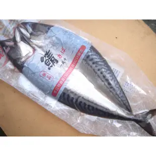 【硬漢】－一夜干鯖魚／360~400g／冷凍鯖魚／鯖魚剖半／鯖魚／燒烤／日本料理／滿1600免運