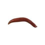 Berkley Gulp! Floating Pinched Crawler - 1" - Nightcrawler