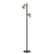 Desiree Black Twin Head Floor Lamp