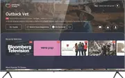 "HYUNDAI 65"" UHD Tizen QLED Smart TV 2024"