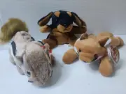 TY Beanie Baby - CHIPPER the Chipmunk DOBY and SLY all in Excellent Condition