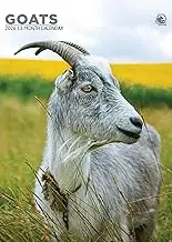 Goats Calendar 2026 – Celebrate the Playful Spirit of Goats