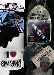 Full Slim Shady Tarot Oracle Card Reading, In-depth