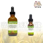 葆療美BIOPEUTIC 多肽淨白抗皺精華0.5OZ(15ML)、2OZ(60ML)【富山】