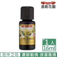 在飛比找momo購物網優惠-【Ausgarden 澳維花園】依蘭精油16ml(花中之花又