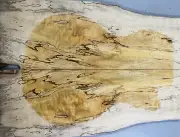 Figure Electric Bass Top Spalted Barky Maple Wood Bookmatched Set Luthier Supply