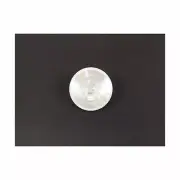 Fortpro 4" White Round Backup Incandescent Light with Clear Lens - Sealed | F235
