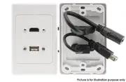 PRO2 PK3304 HDMI & USB Wall Plate 2Port Socket w Flexible Rear Socket In Wall