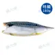 一水花飛-薄鹽挪威鯖魚片(160g/片)#特級-1G3B【魚大俠】FH058