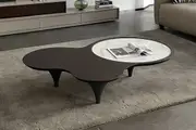 Roma Smoked Walnut Color Coffee Table with Sintered Stone Top